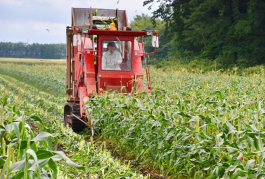 آمریکا خواستار لغو تعرفه‌های ژاپن بر محصولات کشاورزی شد