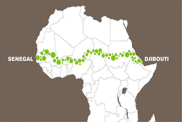 دیوار سبز آفریقا با 12 میلیون درخت